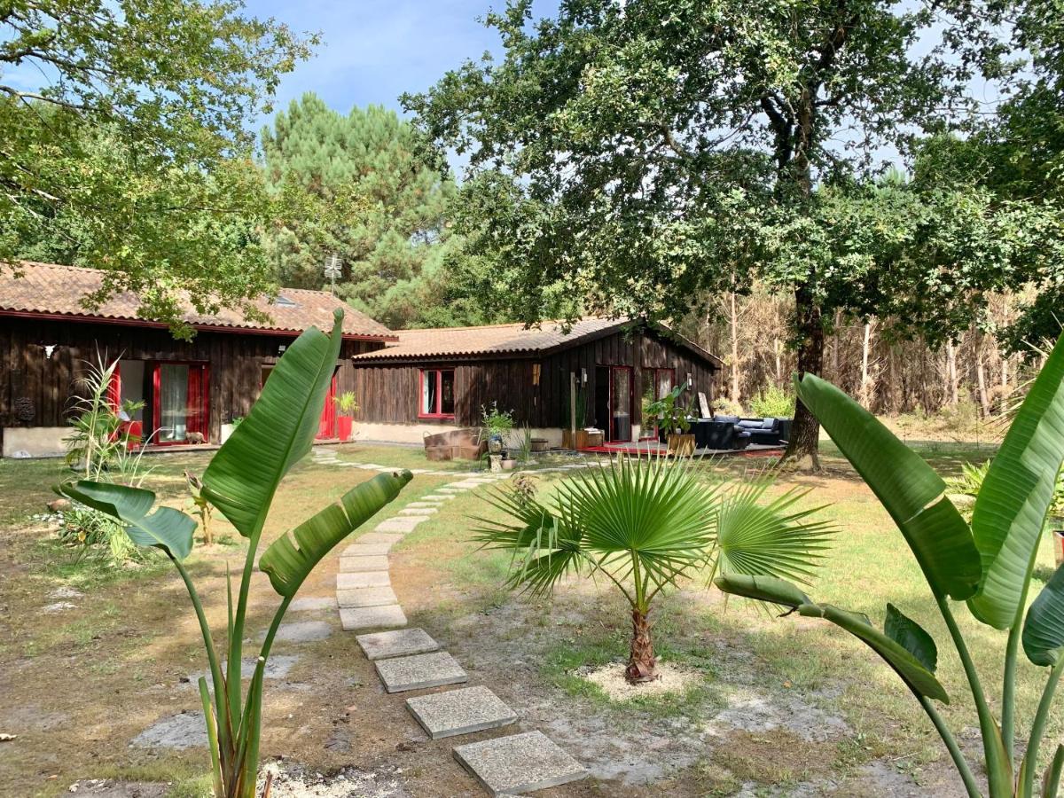 House De La Canopee, Swimming Pool, Lake, Forest, Large Garden And Wifi Hourtin Eksteriør bilde