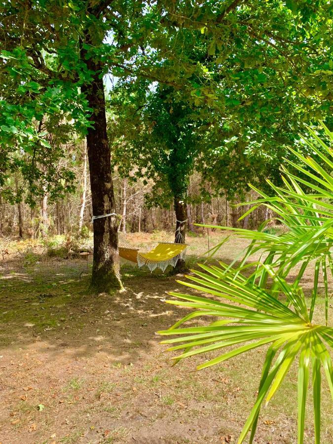House De La Canopee, Swimming Pool, Lake, Forest, Large Garden And Wifi Hourtin Eksteriør bilde