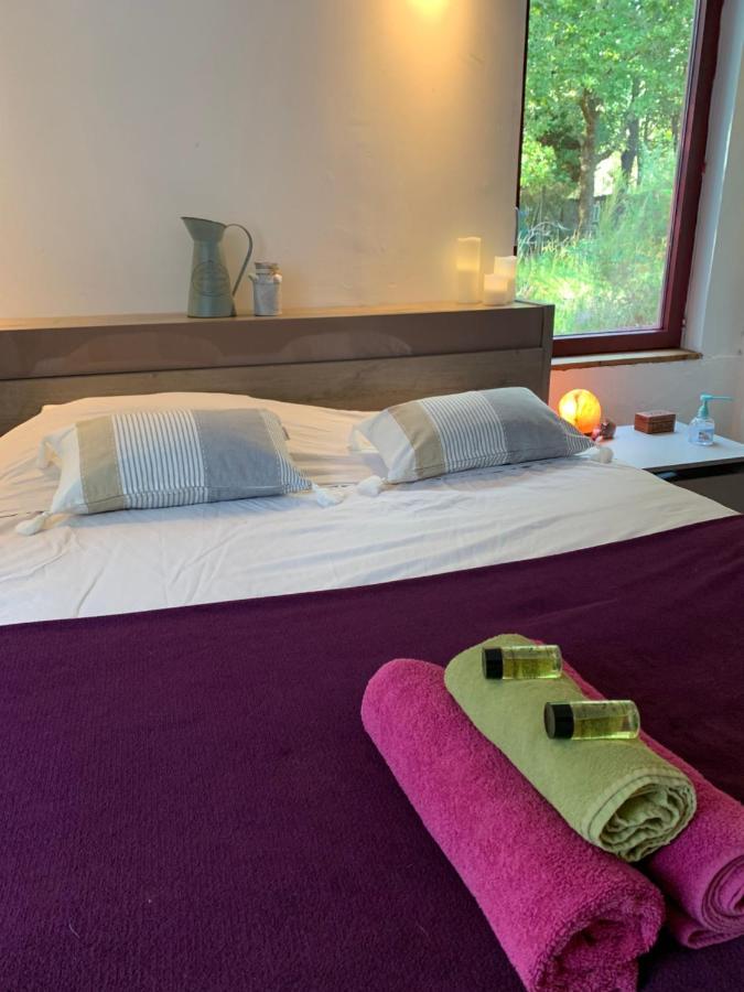 House De La Canopee, Swimming Pool, Lake, Forest, Large Garden And Wifi Hourtin Eksteriør bilde