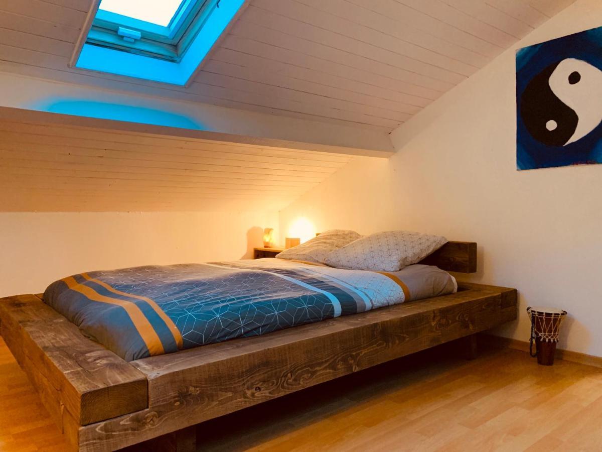 House De La Canopee, Swimming Pool, Lake, Forest, Large Garden And Wifi Hourtin Eksteriør bilde