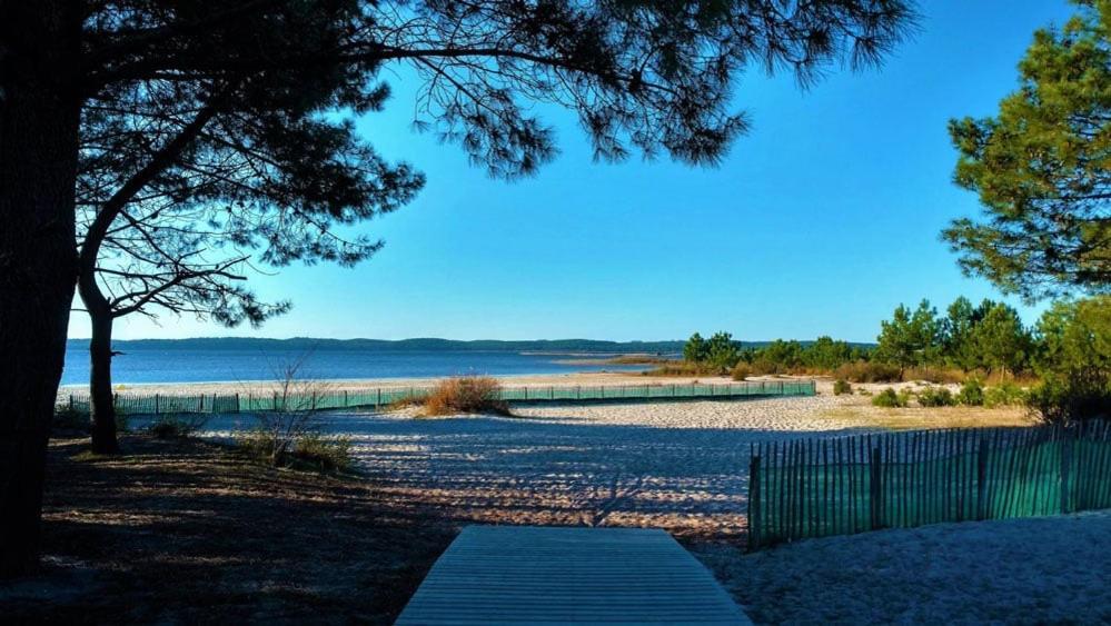 House De La Canopee, Swimming Pool, Lake, Forest, Large Garden And Wifi Hourtin Eksteriør bilde