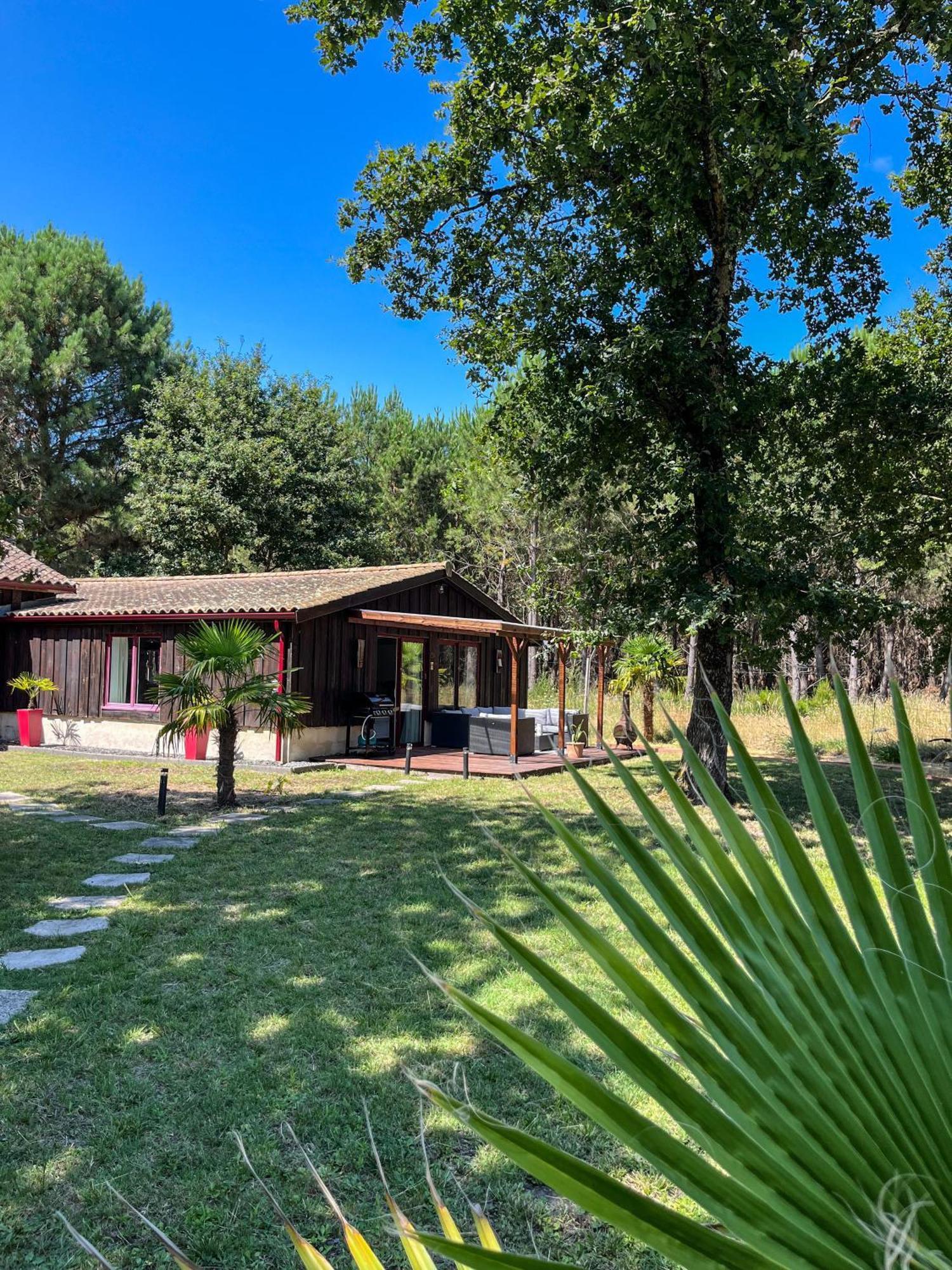 House De La Canopee, Swimming Pool, Lake, Forest, Large Garden And Wifi Hourtin Eksteriør bilde